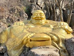 -紫金山山顶公园