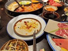 -合肥野生动物园