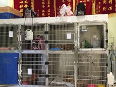 -悦宠动物医院(京丰分院)