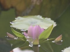 -国家植物园南园