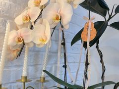 -万达广场(南京江宁店)