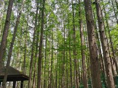 -南京金牛湖风景区