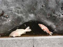 -天津盘山风景名胜区