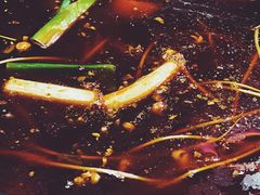 -金海椒罐罐鲢鱼(东方桂苑店)