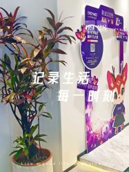 -玛莲朵·海菲秀冰珀科