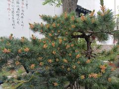 -九龙潭景区