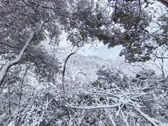-青城山