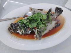 清蒸石斑鱼-宜兴隆家宴·私房菜(泰安华庭店)