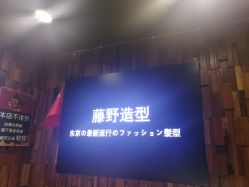 点击看大图 -藤野造型