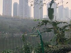-重庆彩云湖湿地公园