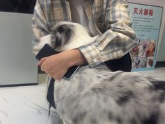 -嘉馨宠物医院·CT影像转诊·心脏科·犬猫全科诊疗中心(下沙大学城院区)
