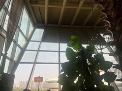 -麓湘小镇(金茂览秀城店)