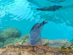 -海合安成都极地海洋公园