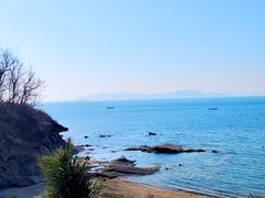 -八大关景区