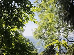 -窦圌山风景区