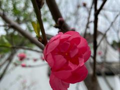 -乌山风景区