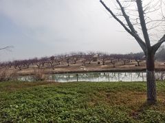 -乌村