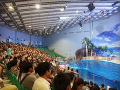 海洋剧场-福州罗源湾海洋世界旅游区