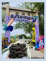 -太湖雪蚕桑文化园