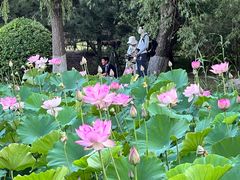-东升八家郊野公园