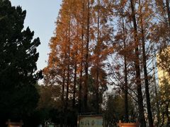 -学成饭店(北辰店)