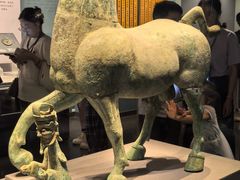 -广西壮族自治区博物馆