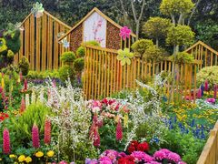 -上海共青森林公园