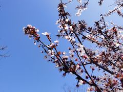 -中海·庐山西海君澜度假酒店·味屿全日制餐厅