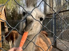 -长白岛森林公园