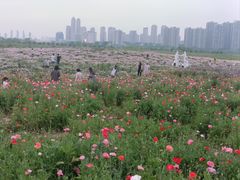 -汉江湾体育公园