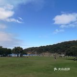 行驶在大洋路上一定会经过Apollo bay景点