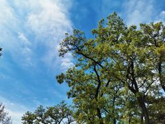 -鬼笑石后山停车场