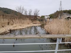 -西湖风景区-江洋畈生态公园