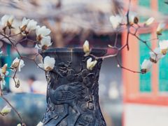 -颐和园