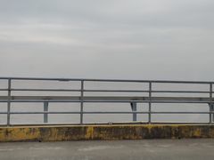 -长兴对江渡客运站