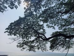 -网红落日悬崖餐厅 The Sky Gallery