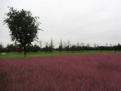 -汉长安城未央宫国家考古遗址公园