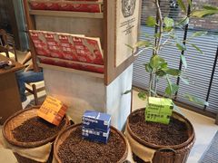 -Grid Coffee(大运天地店)