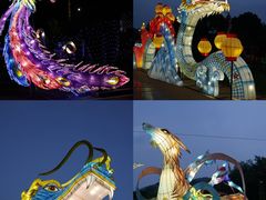 -东南花都花博园