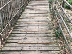 -宁波浙东大竹海景区
