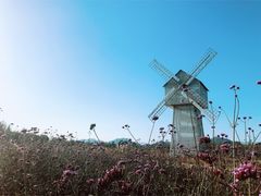 -北京东方普罗旺斯薰衣草庄园