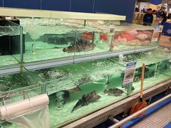 -盒马X会员店(上海森兰商都店)