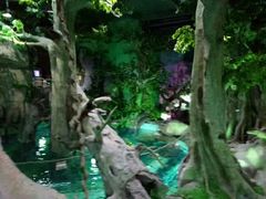 -福州罗源湾海洋世界旅游区