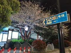 -杨高南路(地铁站)