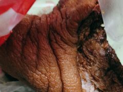 -净香园熟肉(北坦总店)