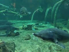 -华夏文旅海洋公园