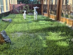 -东方华地城湿地温泉度假区