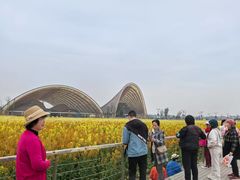 -中国天府农业博览园