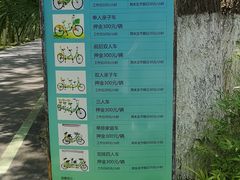 -合肥滨湖国家森林公园