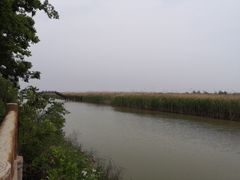 -泗洪洪泽湖湿地景区